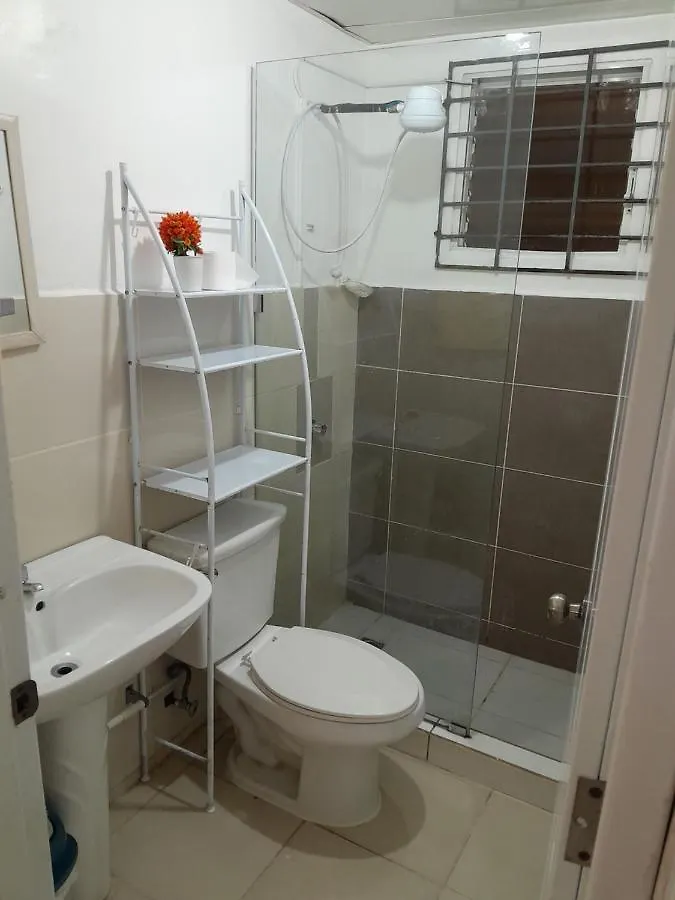 Daire Comodo Apartamento En El Centro De La Ciudad Santiago De Los Caballeros